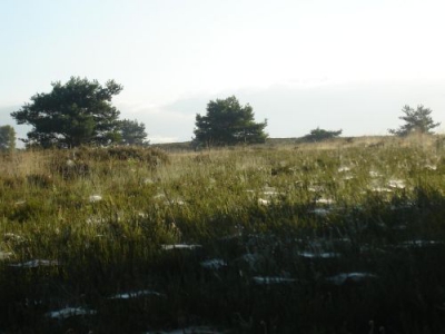 <i class='fa fa-user'></i>&nbsp;Hans Bossenbroek&nbsp;| Heide&nbsp; <i class='fa fa-eye'>&nbsp;301</i> &nbsp; <i class='fa fa-comment-o'>&nbsp;0</i>