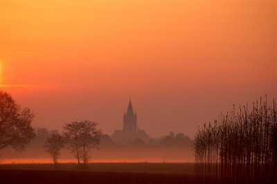 Vanochtend zon en mist, een perfecte combinatie.