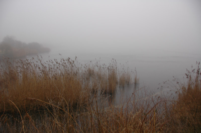 bij het vogelen in Diependal: geen vogels, wel mist