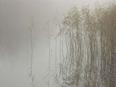 <i class='fa fa-user'></i> Gert Paassen | Mist  <i class='fa fa-eye'> 243</i>   <i class='fa fa-comment-o'> 6</i>