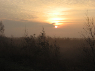 <i class='fa fa-user'></i> Albert de Jong | Landschap  <i class='fa fa-eye'> 234</i>   <i class='fa fa-comment-o'> 0</i>