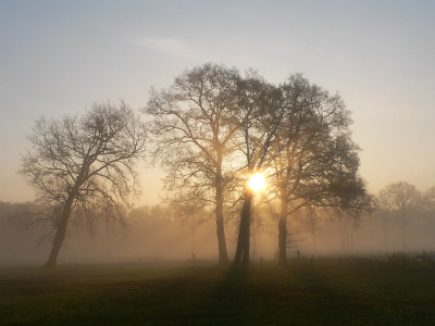 <i class='fa fa-user'></i> Carl Derks | Zonsopkomst in de mist  <i class='fa fa-eye'> 230</i>   <i class='fa fa-comment-o'> 4</i>