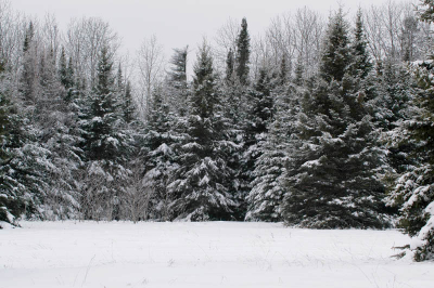 <i class='fa fa-user'></i> Jan Luit | Winterlandschap  <i class='fa fa-eye'> 198</i>   <i class='fa fa-comment-o'> 1</i>