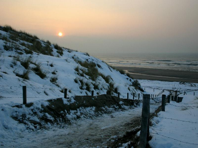 <i class='fa fa-user'></i> andrea | Strand af loop  <i class='fa fa-eye'> 172</i>   <i class='fa fa-comment-o'> 1</i>