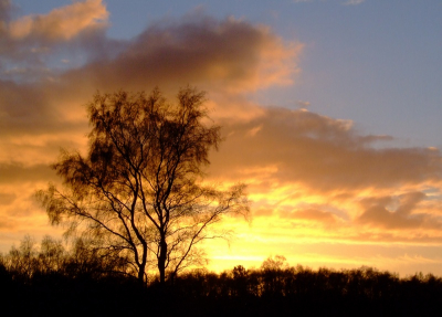 <i class='fa fa-user'></i> klomp | Zonsondergang  <i class='fa fa-eye'> 194</i>   <i class='fa fa-comment-o'> 5</i>
