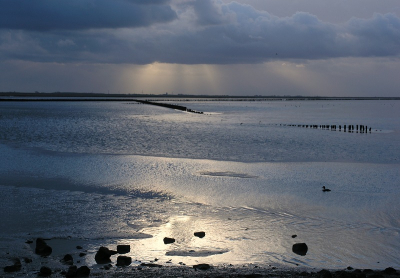 <i class='fa fa-user'></i> Hendrik van Kampen | Waddenzee  <i class='fa fa-eye'> 260</i>   <i class='fa fa-comment-o'> 10</i>