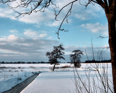 <i class='fa fa-user'></i> Teunis Haveman | Winter Landschap  <i class='fa fa-eye'> 299</i>   <i class='fa fa-comment-o'> 3</i>