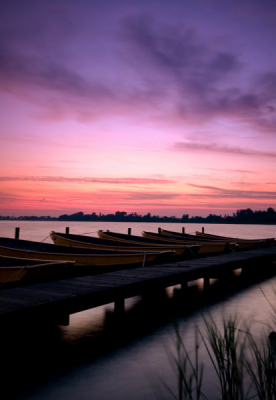 10 Sec, F19  Sigma 10/20