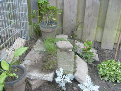 In verband met met het massale verschijnen van (vooral) Bruine Kikkers in de tuin, heb ik besloten om met wat oude tegels een schuilgelegenheid de maken voor de diertjes (dit ook ivm redelijk wat katten in de buurt)