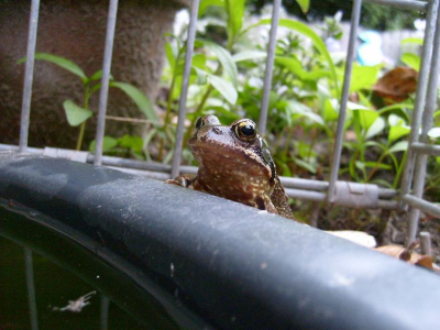 Deze foto vind ik erg leuk ivm dat pootje over de rand..