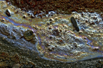 Iridiserend! 
Deze opname heb ik in natuurgebied Soos gemaakt, een bijzonder gebied in Tsjechi, nabij Frantiskove Lazne. Het is een klein gebied met grotendeels opgedroogde mineraal meertjes, mofetten en er komt kooldioxide aan de oppervlakte.