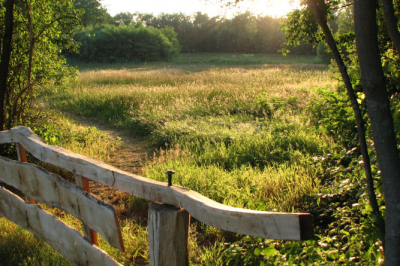 Opname gemaakt tijdens ondergaan van de zon.
Dit is mijn eerste foto op nederpix en hoop hier nog veel van te leren.
