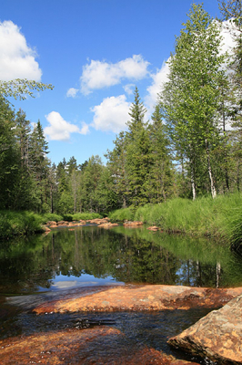 Op een zonnige dag in het mooie Varmland zijn de kleuren betoverend. Bruin, blauw groen en wit en een mooie weerspiegeling in het bijna stilstaande water, hier wordt je er regelmatig op getrakteerd.