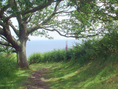 Deze foto is gemaakt tijdens een wandeling op vakantie in Jersey ongeveer vier jaar geleden.