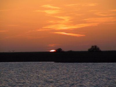 Om te laten zien dat je met een 'gewone' digitale camera ook mooie foto's kan maken, een foto van al weer een tijdje geleden. Mooie van Friesland zijn toch wel de open stukken met water, rietkragen en, een ondergaande zon ;-)