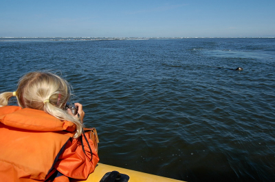 Vanaf een eng bootje maakte ik mooie zeehondenfoto's.