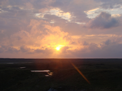 Ook deze avond heb ik me in de duinen vermaakt in de hoop de velduil te zien, wat helaas niet gelukt is. Wel prachtige zonsondergangen meegemaakt!