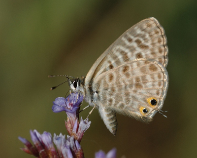 mooi weer lekker warm wind stil dus genieten strak blauwe lucht