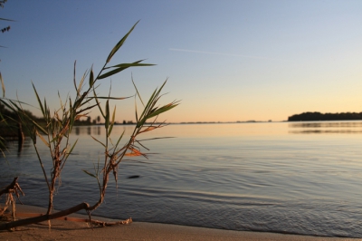 Vanaf gelijke hoogte van het water is de foto gemaakt, heb expres dat op dat "riet" me AF gezet zodat ik meer diepte kreeg in m'n foto