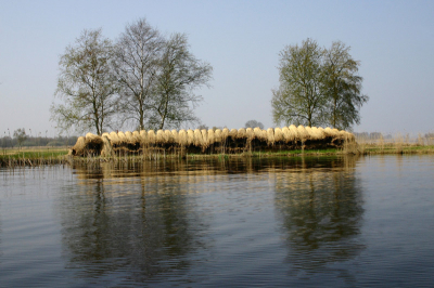 Een aanvulling op het voorjaarslandschap in de Wieden.
Zo liggen hele stapels riet langs de kant van de meren en sloten. Dit is het mooist. Soms ligt er ook een lelijk gekleurd stuk plastic over. Wel praktisch natuurlijk, maar niet mooi.
Nu zijn het nog dikke bundels. Later worden ze naar een centrale plaats gebracht (met punters) en  daar worden deze bundels dan verwerkt tot kleine bossen, geschikt voor de verkoop.