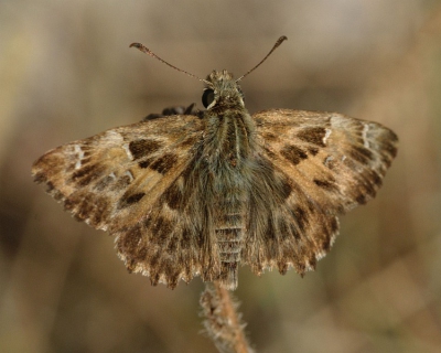 mooie dag om foto's te maken vandaar dat ik ook op pad ben gegaan.