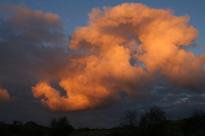 <i class='fa fa-user'></i> Marijke | Imposante wolk  <i class='fa fa-eye'> 97</i>   <i class='fa fa-comment-o'> 8</i>