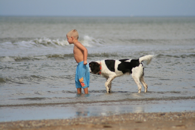 Een mooie nazomerdag, vrij weinig mensen op strand. Dit kind hoorde niet bij de hond. Maar de hond wilde wel ff weten wie het kind was ;-)