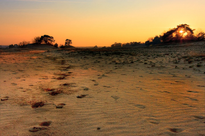 vorig jaar eens gemaakt op het kootwijker zand, 3 opnames verwerkt tot een foto