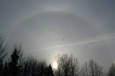 <i class='fa fa-user'></i> Jan Luit | Ring rond de zon  <i class='fa fa-eye'> 112</i>   <i class='fa fa-comment-o'> 8</i>