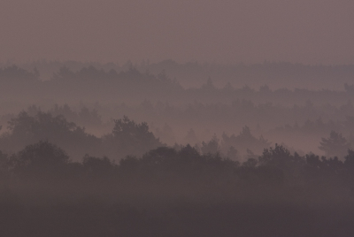 heb foto's gemaakt voor dat de zon opkwam
en nadat de zon net boven de bomen uit kwam.
Dat geeft een aardig verschil in kleur.
Ik kan zelf niet kiezen misschien jullie wel haha.
Deze is voor zonsopkomst