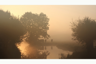 Zaterdag morgen was een prachtige morgen met een hoop mist en een mooie zon. Ik heb de zon expres uit beeld gelaten, omdat hij door de mist een grote lichtvlek op de foto werd. Nu komt hij bijna om de hoek kijken