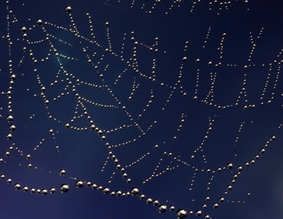 <i class='fa fa-user'></i>&nbsp;Tobias Dansen&nbsp;| druppels&nbsp; <i class='fa fa-eye'>&nbsp;156</i> &nbsp; <i class='fa fa-comment-o'>&nbsp;5</i>