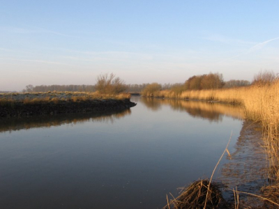<i class='fa fa-user'></i> Albert de Jong | Hollandse Biesbosch  <i class='fa fa-eye'> 154</i>   <i class='fa fa-comment-o'> 0</i>