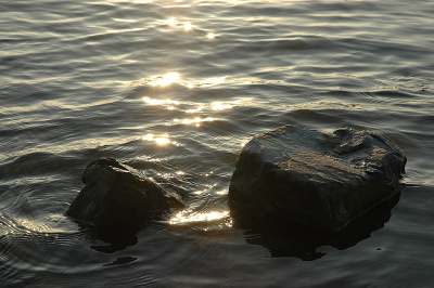 <i class='fa fa-user'></i> Elisa | Stenen in water en zon  <i class='fa fa-eye'> 86</i>   <i class='fa fa-comment-o'> 6</i>