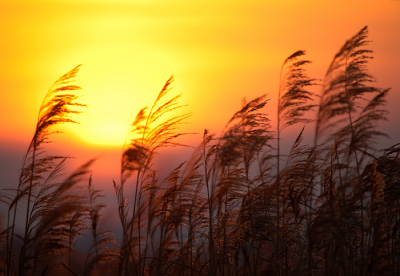 <i class='fa fa-user'></i> Richy | Zonsondergang in de Winter  <i class='fa fa-eye'> 80</i>   <i class='fa fa-comment-o'> 1</i>