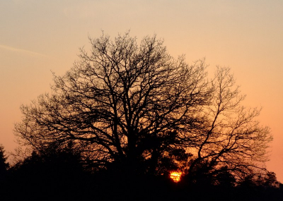 <i class='fa fa-user'></i> klomp | Zonsondergang  <i class='fa fa-eye'> 150</i>   <i class='fa fa-comment-o'> 0</i>