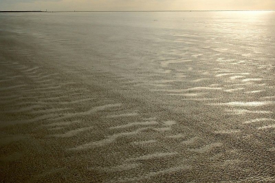 alweer heel lang geleden dat ik op Nederpix iets heb laten zien.....maar afgelopen weekend op Terschelling was het een waar feest om samen met Hendrik de wisselende licht- en lucht- en landschapsomstandigheden mee te mogen maken..deze foto is een voorbeeld van hoe het er ook uit zag...waar saai spannend word vind ik zelf