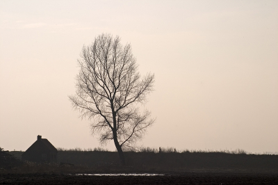<i class='fa fa-user'></i> Martin van der Giesen | Tiengemeten  <i class='fa fa-eye'> 143</i>   <i class='fa fa-comment-o'> 1</i>