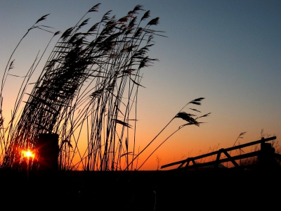 <i class='fa fa-user'></i> Teunis Haveman | Zonsondergang  <i class='fa fa-eye'> 164</i>   <i class='fa fa-comment-o'> 2</i>