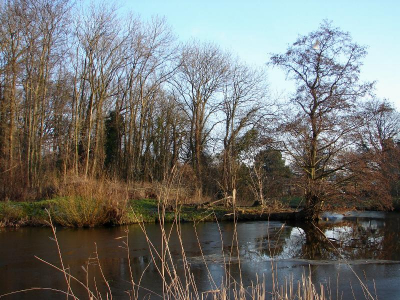 <i class='fa fa-user'></i> andrea | Haarlemmer trekvaart  <i class='fa fa-eye'> 186</i>   <i class='fa fa-comment-o'> 6</i>