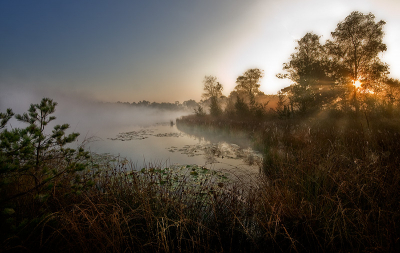 de zon die de mist op het kogelvangersven in de Kampina verdrijft, direct na zonsopkomst gefotografeerd