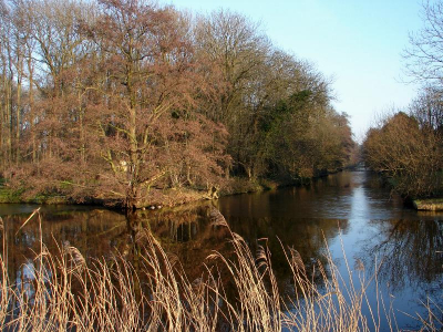 <i class='fa fa-user'></i> andrea | Haarlemmer trekvaart  <i class='fa fa-eye'> 149</i>   <i class='fa fa-comment-o'> 3</i>