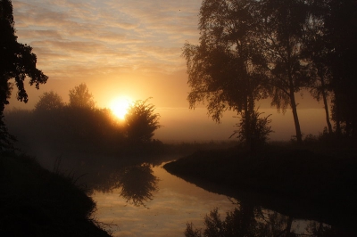 Voor mijn werk mocht ik eens naar buiten de de camera meenemen, het was bijzonder fraai met nevel en een mooie zonsopkomst! Zelf vond ik de foto geslaagd, hopelijk valt ie hier ook goed.
