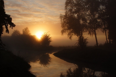 Voor mijn werk mocht ik eens naar buiten de de camera meenemen, het was bijzonder fraai met nevel en een mooie zonsopkomst! Zelf vond ik de foto geslaagd, hopelijk valt ie hier ook goed.