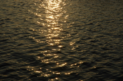 <i class='fa fa-user'></i> Elisa | Zon en water  <i class='fa fa-eye'> 79</i>   <i class='fa fa-comment-o'> 2</i>