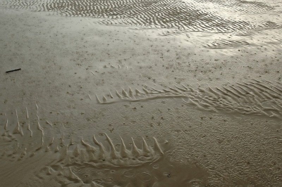 nog eentje uit het BP?NP weekend op Terschelling ...het relif wat door het stromende water ontstaat in combinatie met dikke regendruppels vind ik de moeite waard om hier te delen..