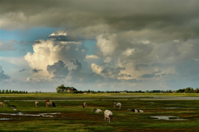 Ten behoeve van m.n. kustvogels is dit plan ontworpen. Inmiddels komen vogelaars uit heel Europa naar dit natuurgebied. Deze foto is gemaakt op 'n zomeravond vlak voordat de zon onderging met 'n dreigende onweerslucht op de achtergrond.