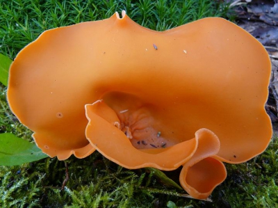 Genomen in IA, dat is de automaat. Er is geen statief gebruikt en het was bewolkt.