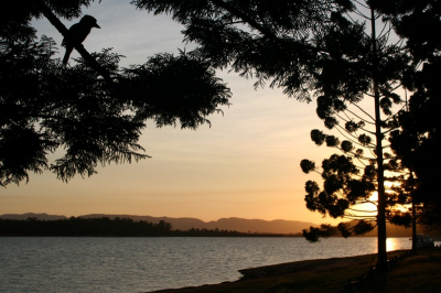 Ondergaande zon bij Lake Tinnaroo in noord-Queensland (AUS). Een altijd nieuwsgierige kookaburra geniet mee ...