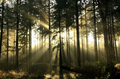 Vroeg in de ochtend, het was erg mistig.
Overal waar je keek was het zo mooi, heb er ook super veel geschoten.